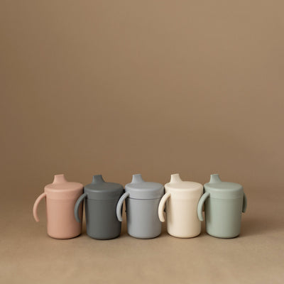 Trainer Sippy Cup with Handles