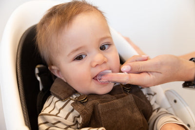 Haakaa Silicone Finger Toothbrush Set for Babies with Storage Case