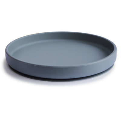 Silicone Suction Plate