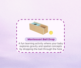Montessori Educational Box (11-12 Months) – Learning Toy Set