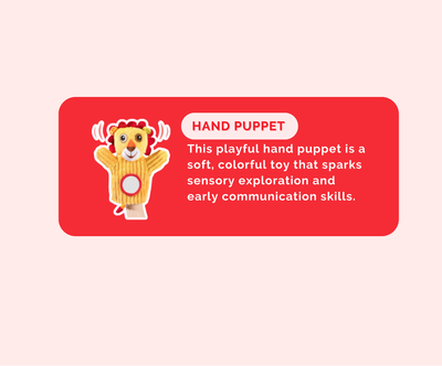 Montessori Educational Box (3-4 Months) – Learning Toy Set