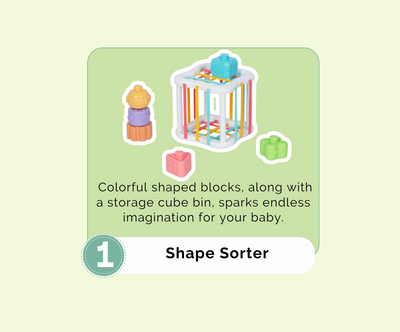 Montessori Educational Box (7-8 Months) – Learning Toy Set