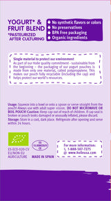 Holle Organic Yogurt Pouches - Blueberries, Apple & Banana