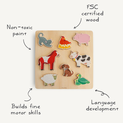 Wooden Shape Puzzle Set