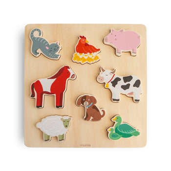 Wooden Shape Puzzle Set