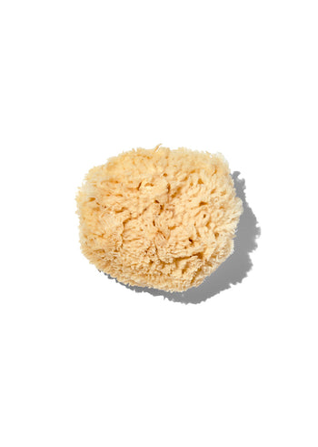 California Baby Natural Wool 3-4" Sea Sponge