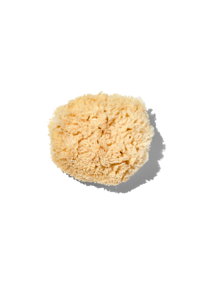 California Baby Natural Wool 3-4" Sea Sponge