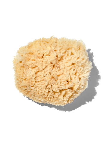 California Baby Natural Wool Sea Sponge
