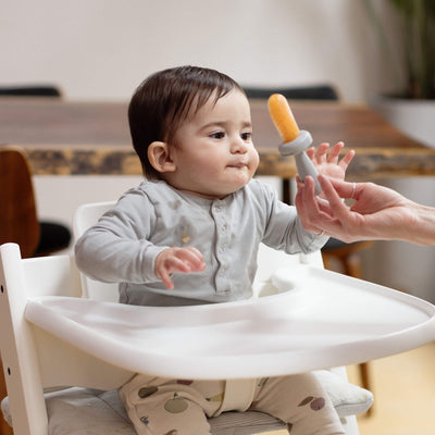 Baby Ice Tray for Gumline Feeder Portions