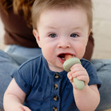Baby Ice Tray for Gumline Feeder Portions