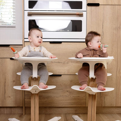 Baby Ice Tray for Gumline Feeder Portions