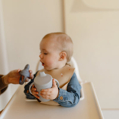 Trainer Sippy Cup with Handles