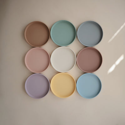 Silicone Suction Plate