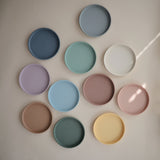 Silicone Suction Plate
