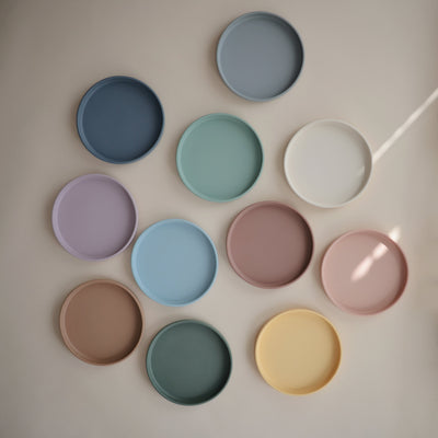 Silicone Suction Plate