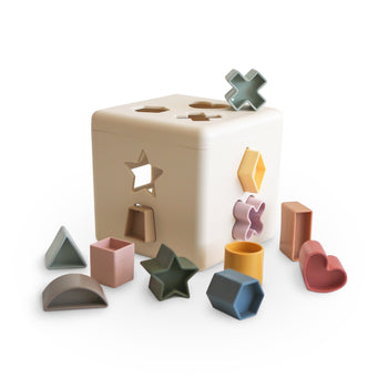 Shape Sorting Box Toy