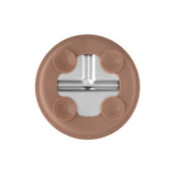 Stainless Steel Plate Set of 2 (Mocha Mousse & Sage Green)