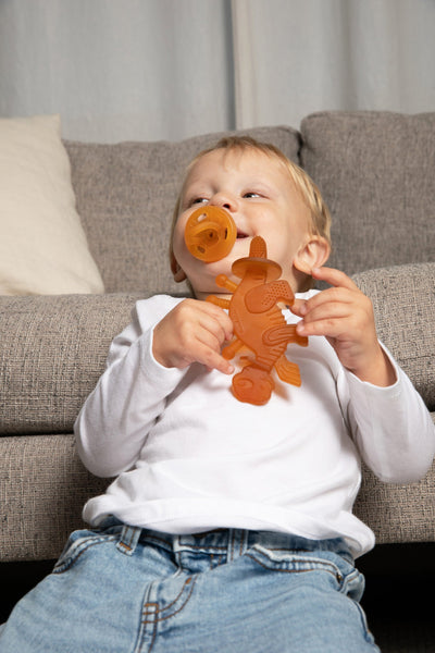 Dibly Amber Dinosaur Teether